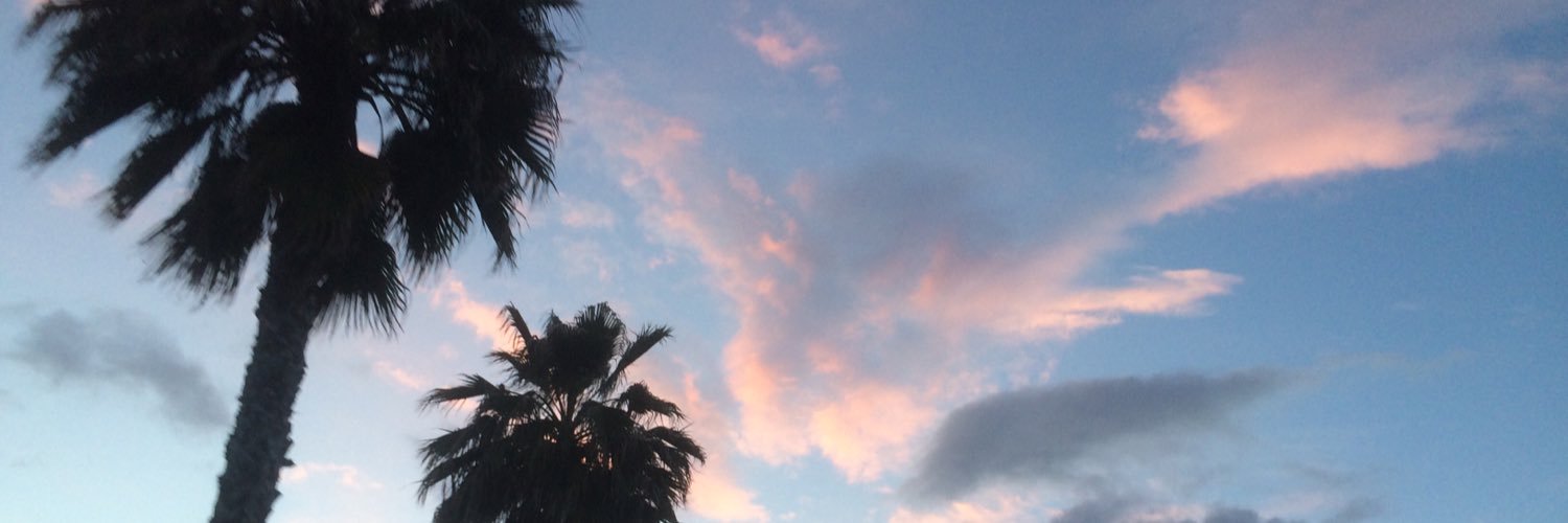 juliaalanam's profile banner image