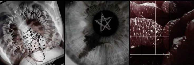 starryenami's profile banner image