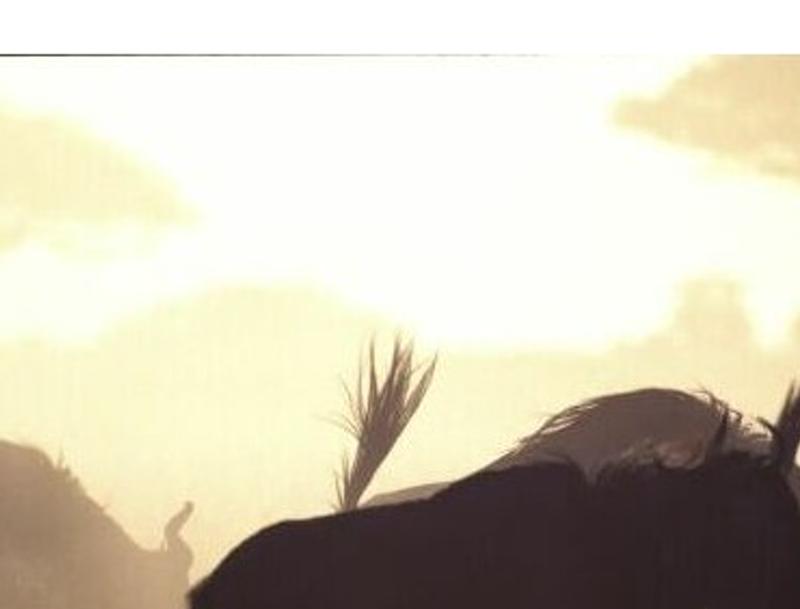 oglaze's profile banner image