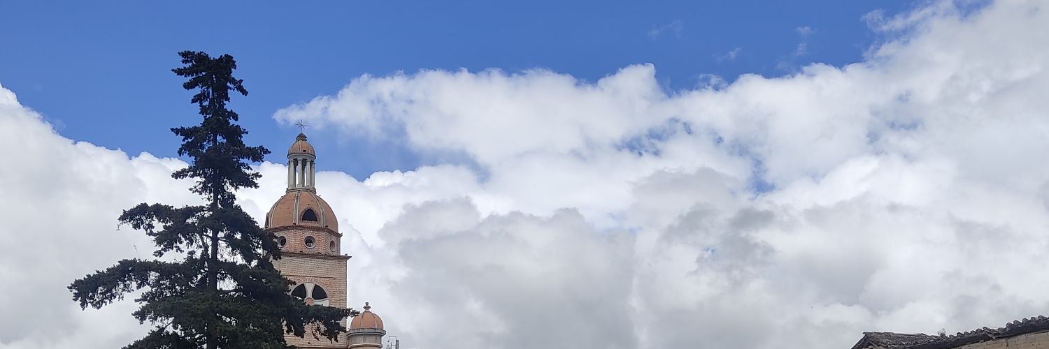 Arrobadri's profile banner image