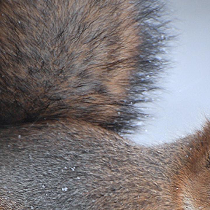phngewa's profile banner image