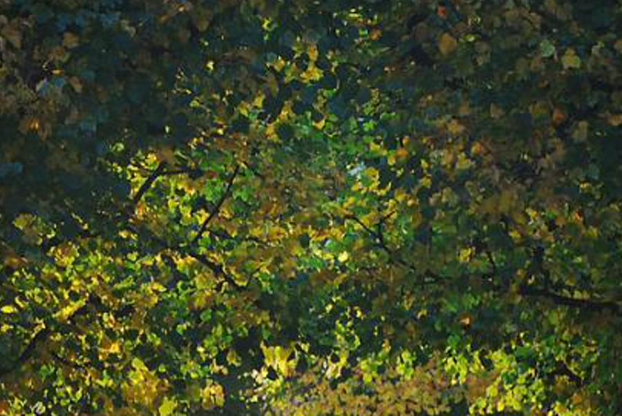 sthosune's profile banner image