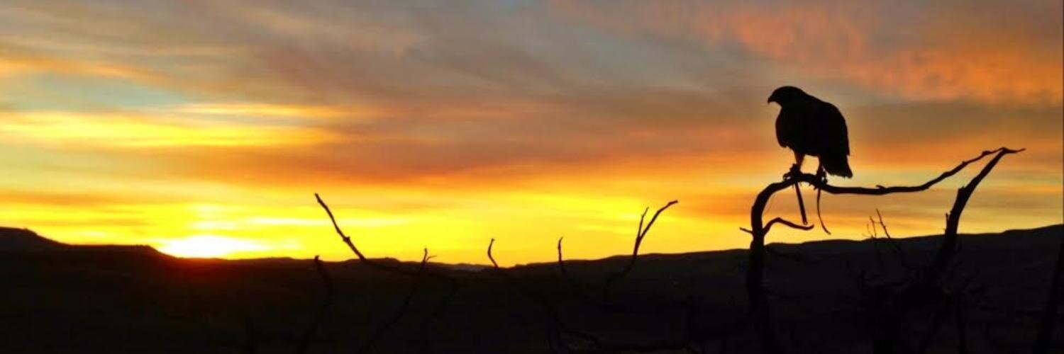 ProisKatherine's profile banner image