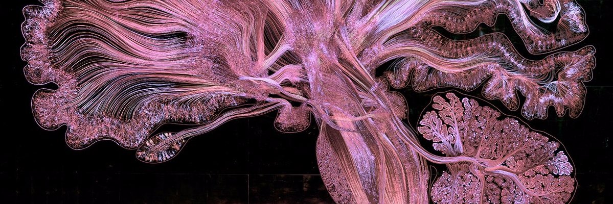 domenkrc's profile banner image