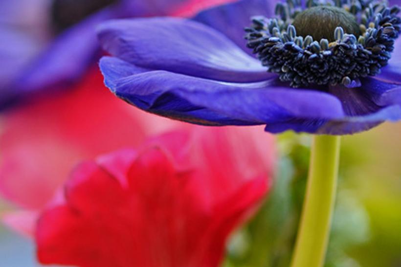 cstenintr's profile banner image