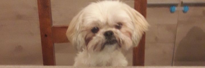 StaesMike's profile banner image
