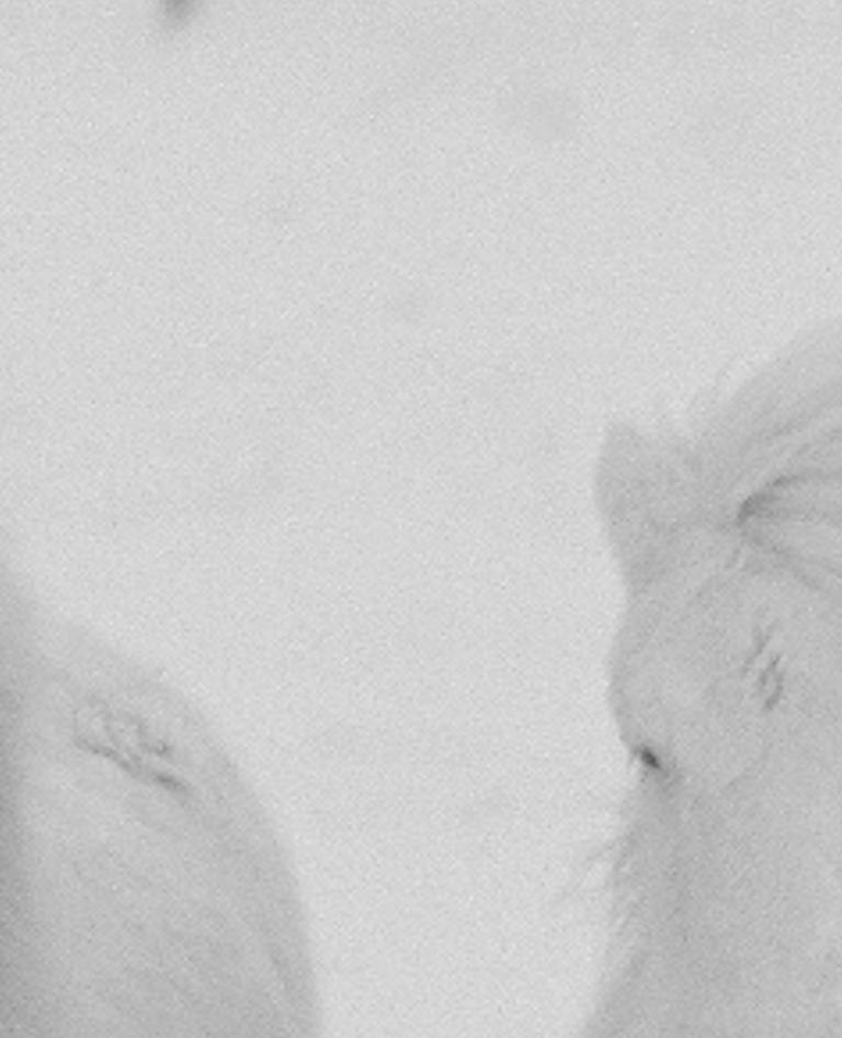 ntespra's profile banner image