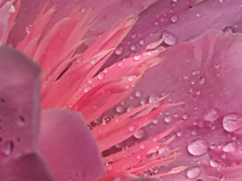 indotric's profile banner image