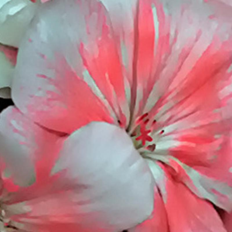 satinces's profile banner image