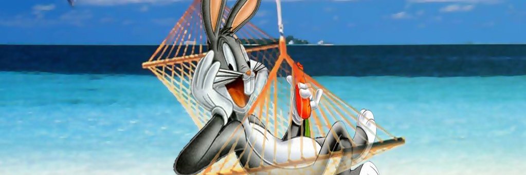 InsuranceAggie's profile banner image