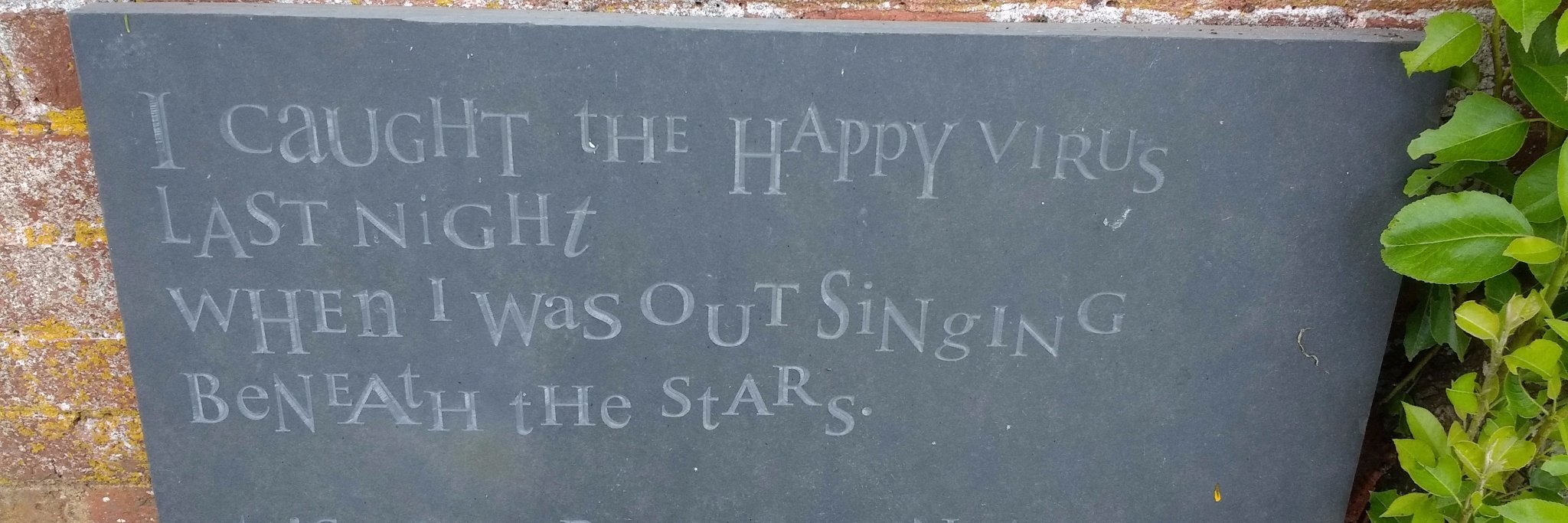 Kate Jones🇪🇺🏴󠁧󠁢󠁷󠁬󠁳󠁿🇱🇺🇬🇧 banner