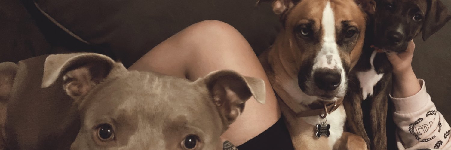 CynthiaKimmmm's profile banner image