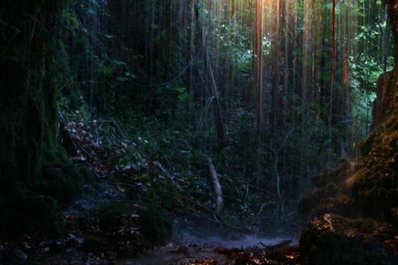 aghapustess's profile banner image
