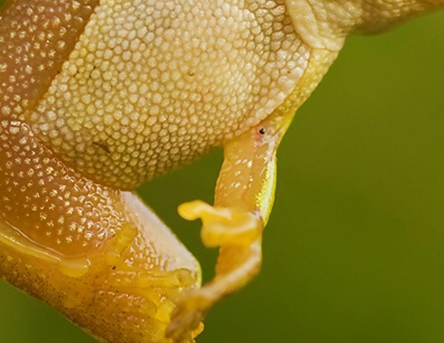mimsiery's profile banner image
