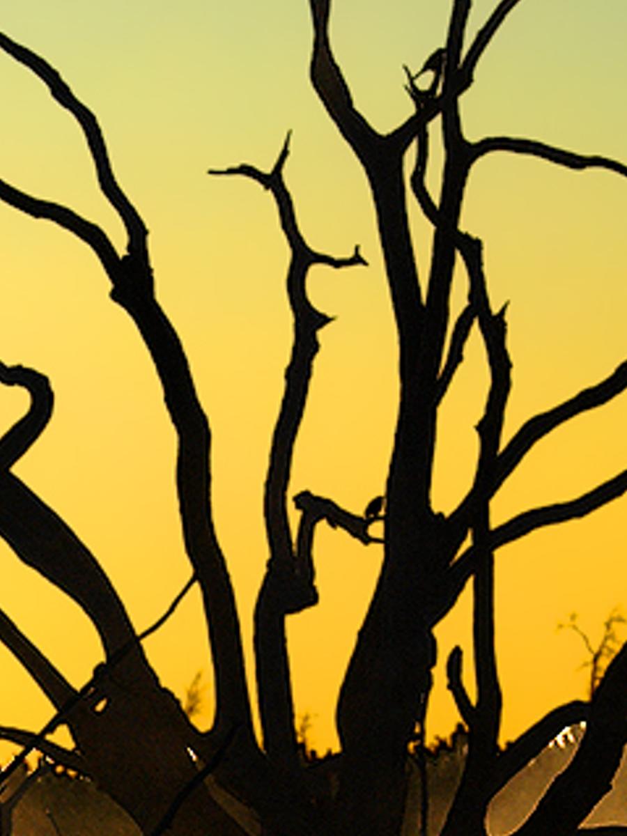 rkenithe's profile banner image