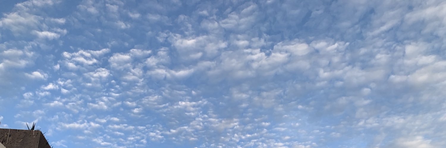 marianammm's profile banner image