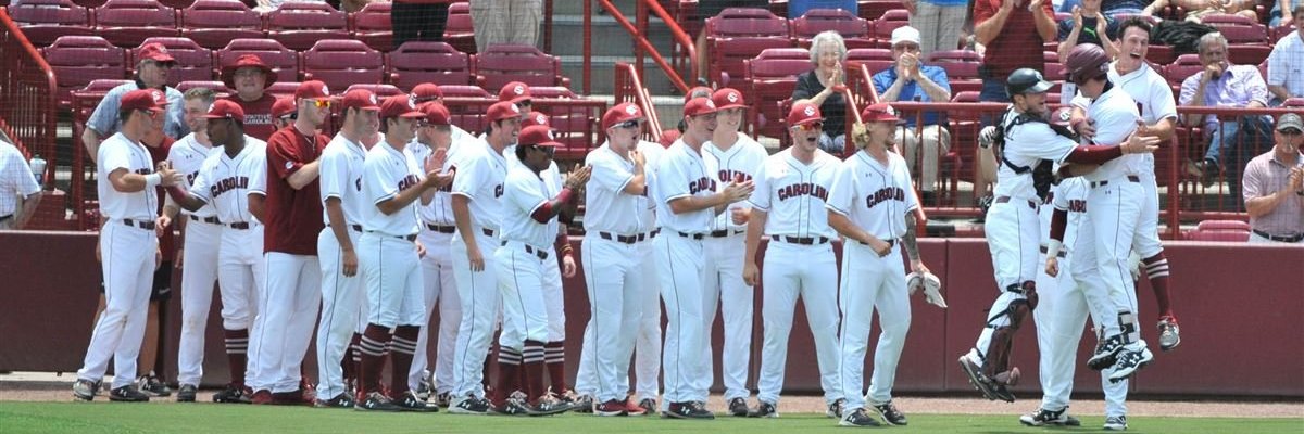 Dr. Mary Lynn Clarke banner