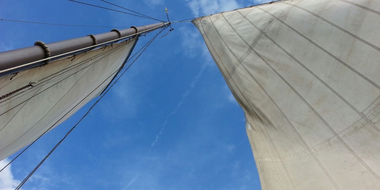 TrynkeDijkstra's profile banner image