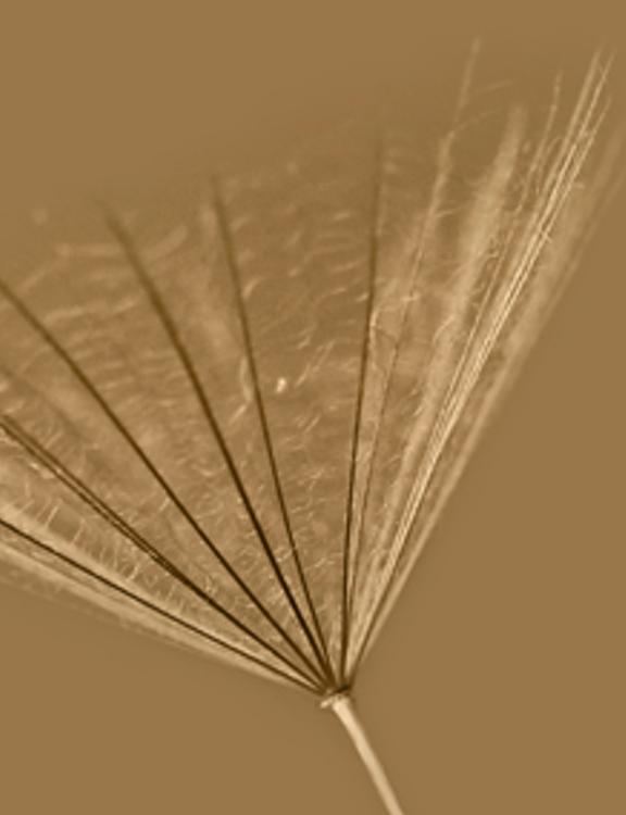 lymngi's profile banner image
