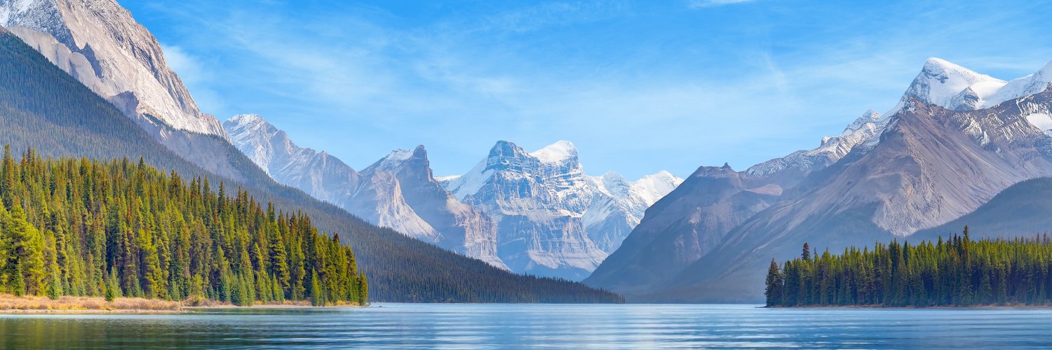 timfogey's profile banner image