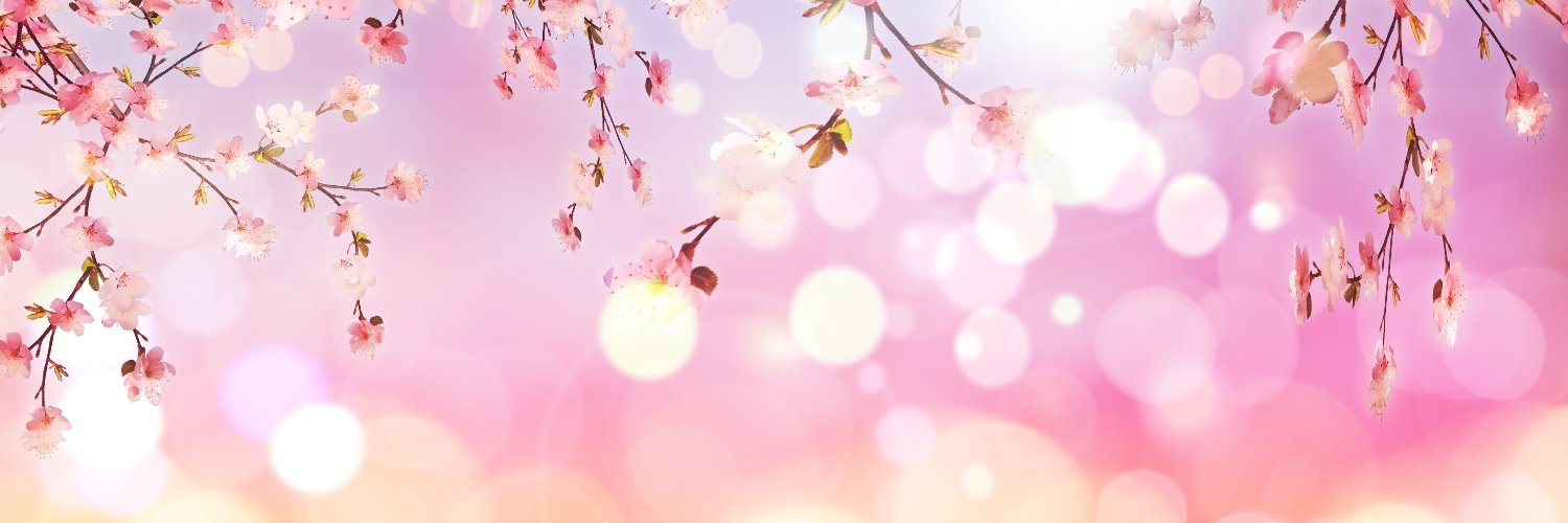 Priscylafs's profile banner image