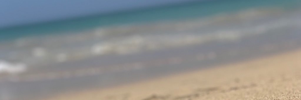 Vanessa Del Mar  banner