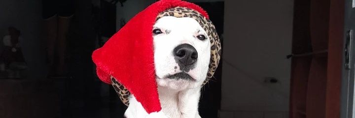 _Siguelaflecha's profile banner image