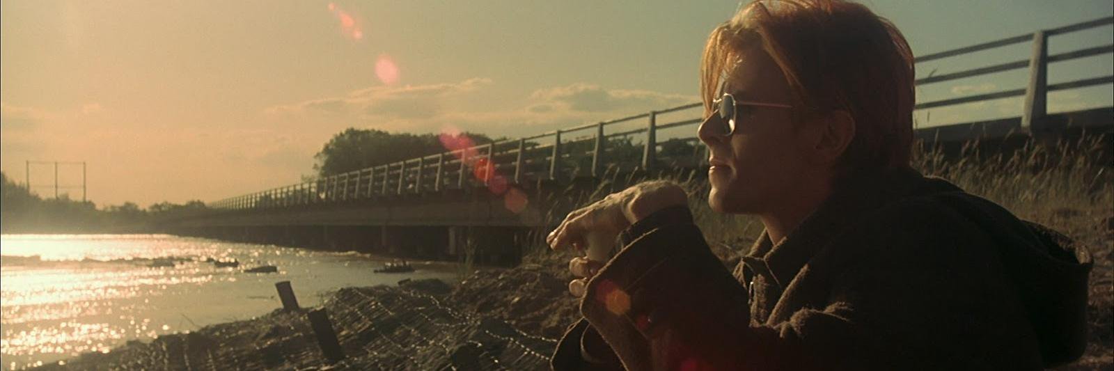 Mario Carvalhal banner