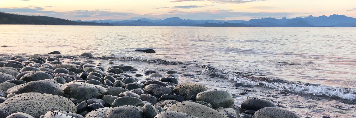 Robyn Mawhinney banner