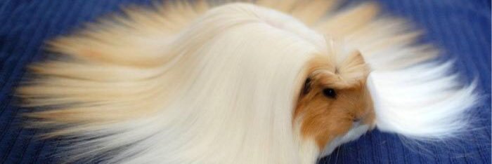 eggetteshawty's profile banner image