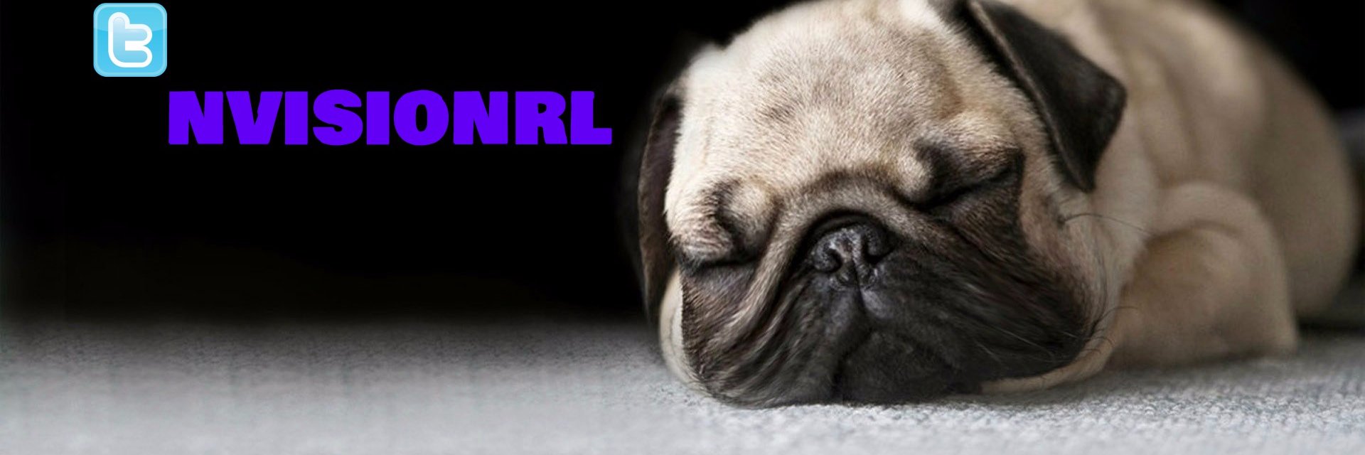 nVisionRL's profile banner image