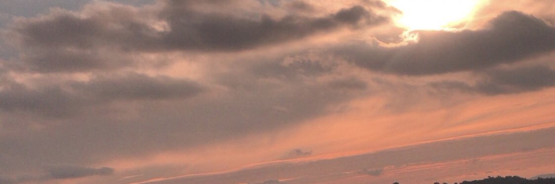 ezgikazancli's profile banner image