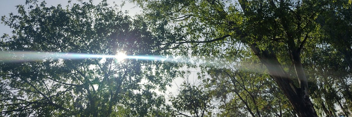 Nanu! 🇦🇷 ☀️ banner
