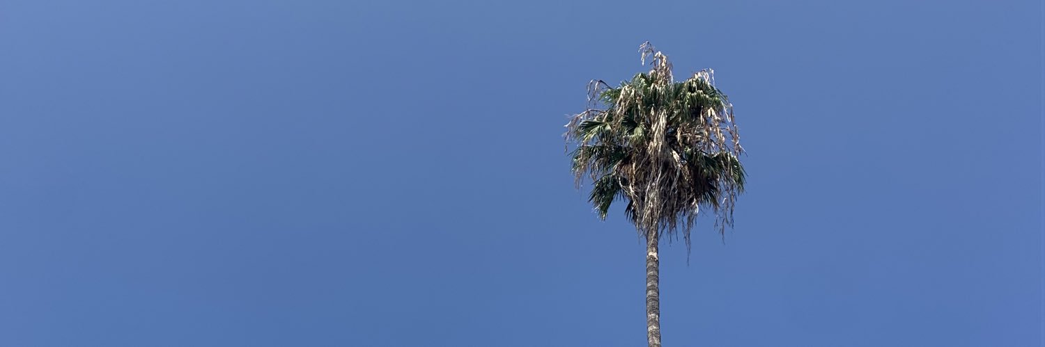 TotTaylor's profile banner image