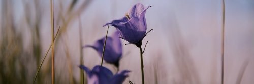 Vane Cantó 🦋 banner