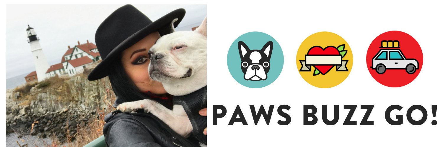 PawsBuzzGo's profile banner image