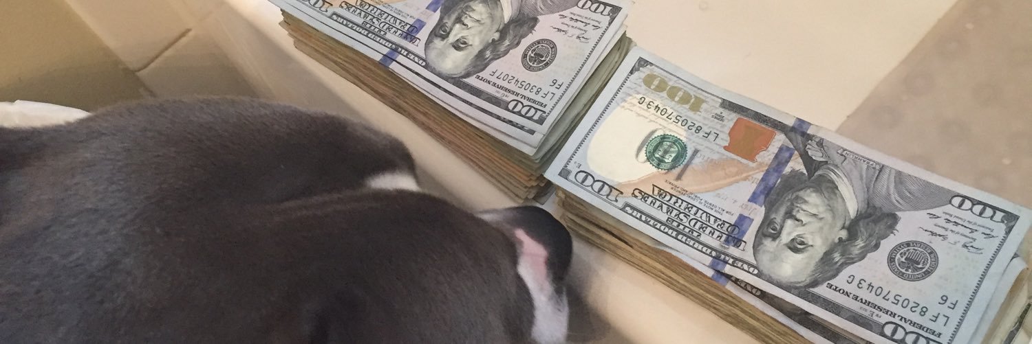 devinsha4's profile banner image