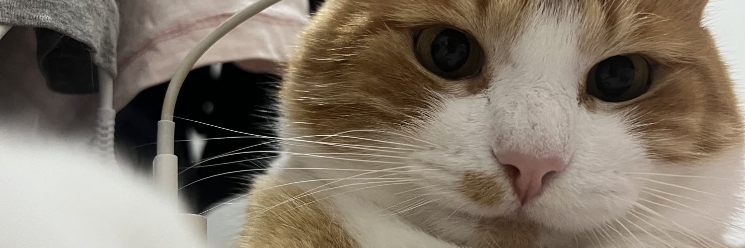 llinydz's profile banner image