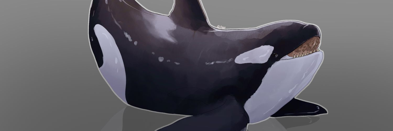 LucasTheShepard's profile banner image