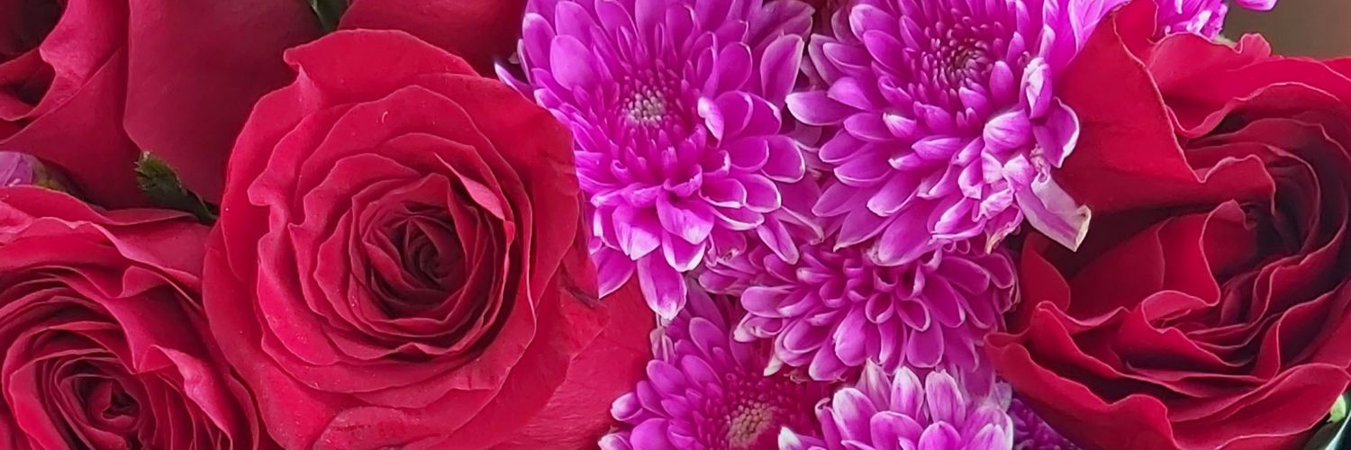 ReiinaTR's profile banner image