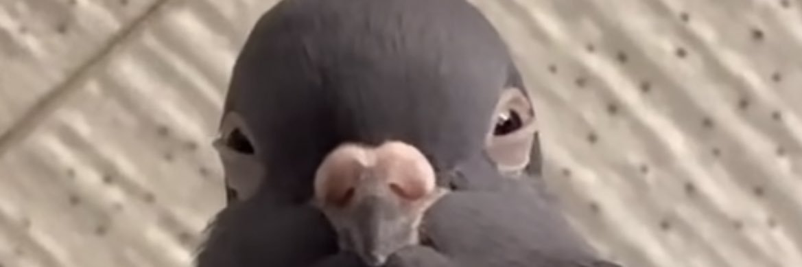 dlurod's profile banner image