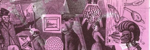 muhlheim's profile banner image