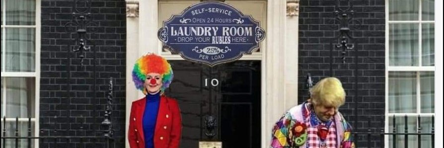 Ginger Bee 🇪🇺 banner