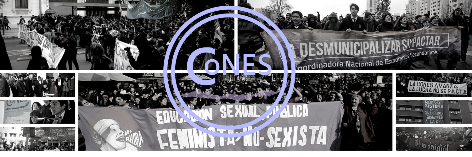 CoNES banner