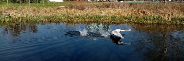 DavSanderson Profile Banner