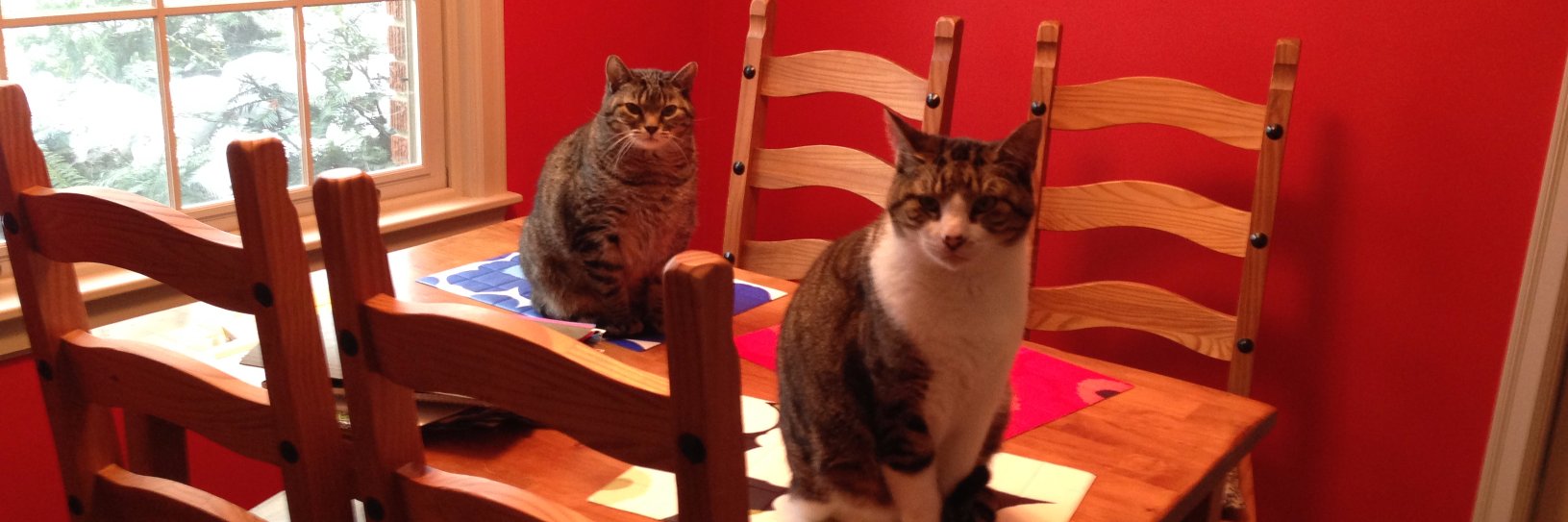 Christa Worrell banner