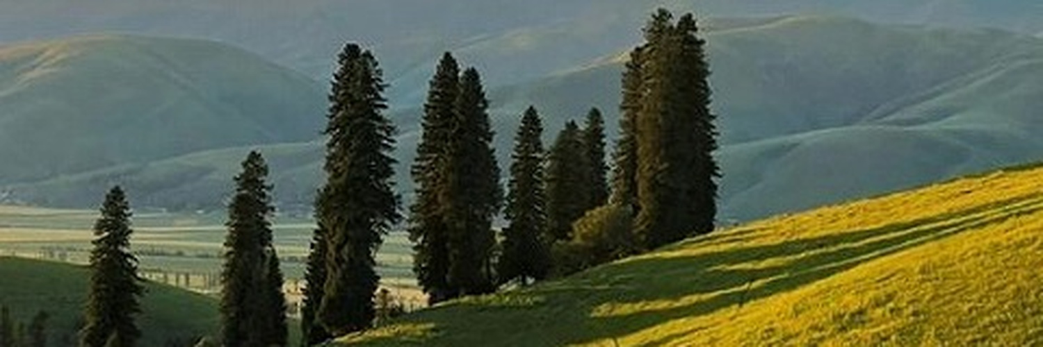 schickschmidt's profile banner image