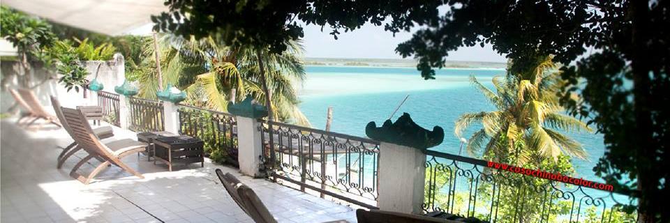 casachinabac's profile banner image
