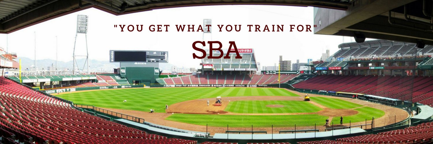SBA Baseball Academy banner