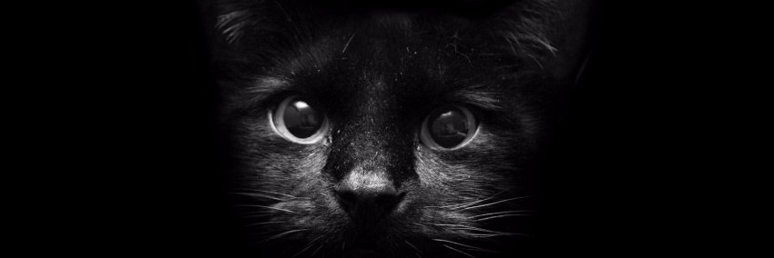 Gunesowski 🌹 banner